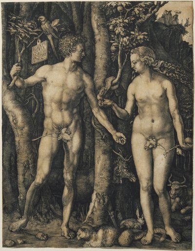  by Albrecht Dürer