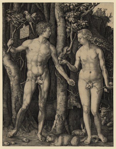  by Albrecht Dürer