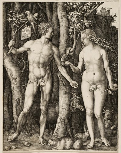  by Albrecht Dürer