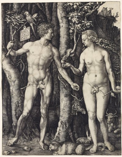 Adem ve Havva by Albrecht Dürer