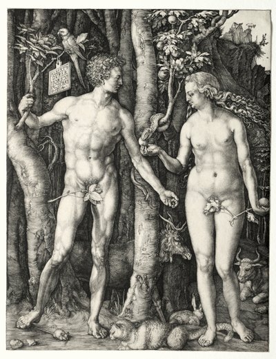 Adem ve Havva, 1504. by Albrecht Dürer