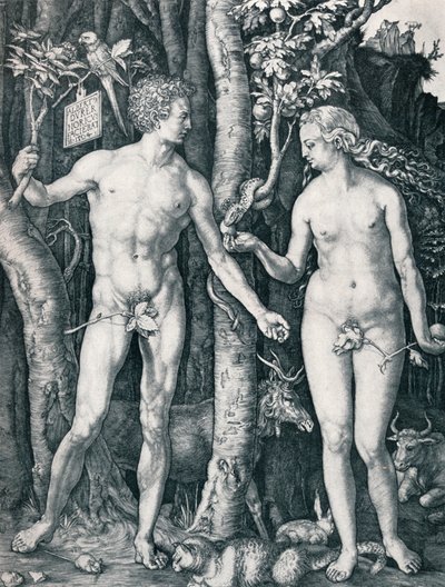 Adem ve Havva, 1504 1906 by Albrecht Dürer