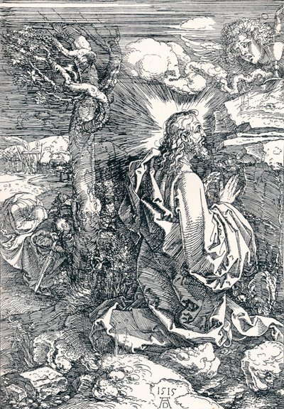 Bahçedeki Acı, 1515 1906 by Albrecht Dürer