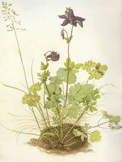  by Albrecht Dürer