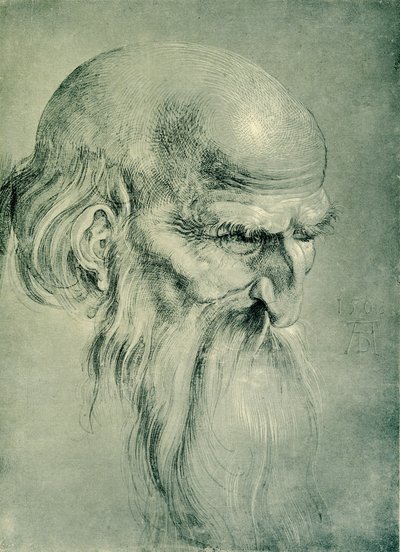 havari kafa by Albrecht Dürer