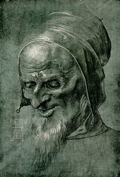 1508 havari başkanı by Albrecht Dürer