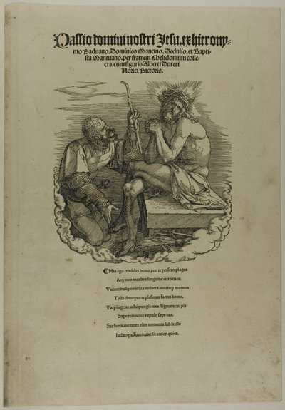  by Albrecht Dürer
