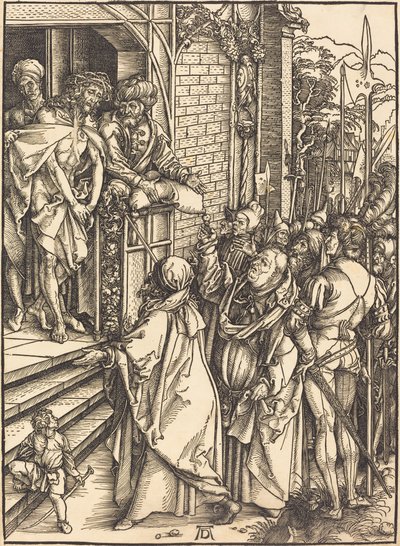 adama bak by Albrecht Dürer