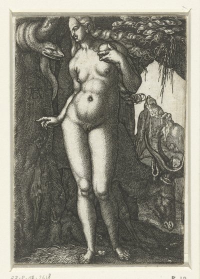  by Albrecht Dürer