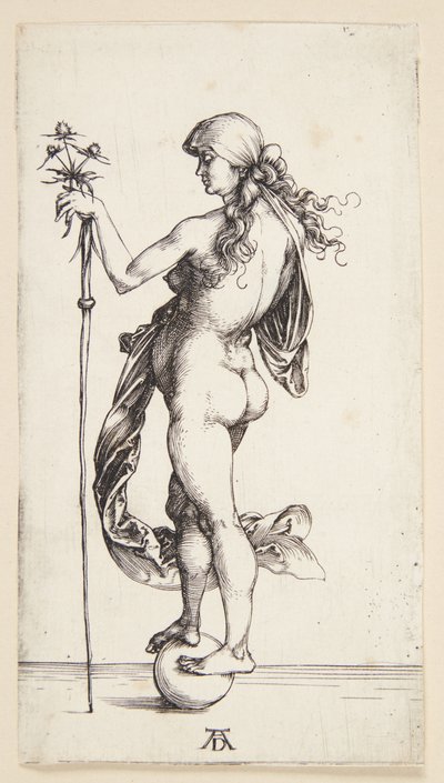 Talih by Albrecht Dürer