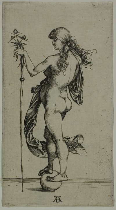 Talih by Albrecht Dürer