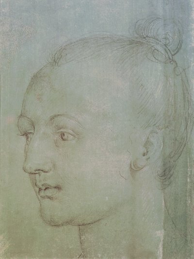 Genç Bir Kadının Başı (siyah tebeşirle yeşil kağıt üzerinde beyaz tebeşirle yükseltilmiş) by Albrecht Dürer