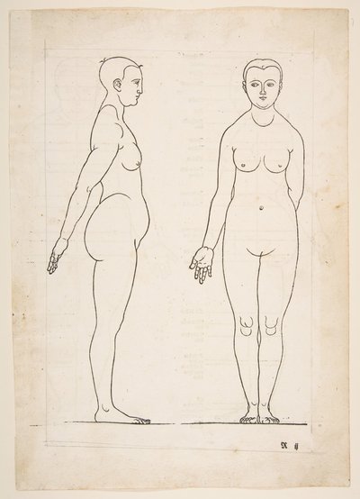 Dürer
