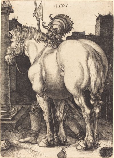 büyük at by Albrecht Dürer