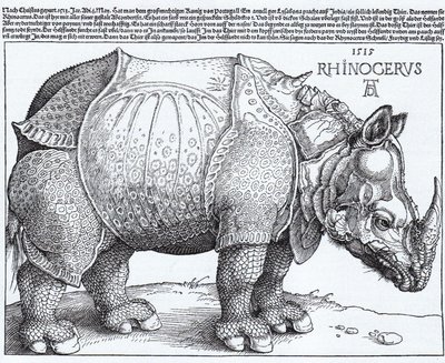  by Albrecht Dürer