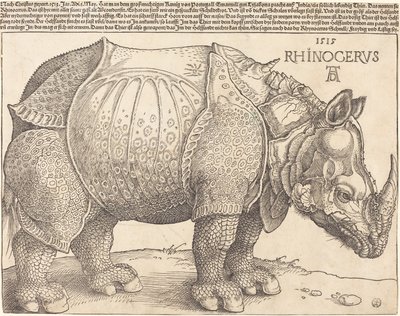  by Albrecht Dürer