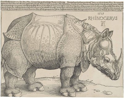  by Albrecht Dürer