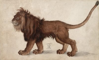 Aslan, 1521. by Albrecht Dürer