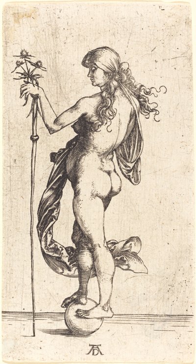 küçük servet by Albrecht Dürer