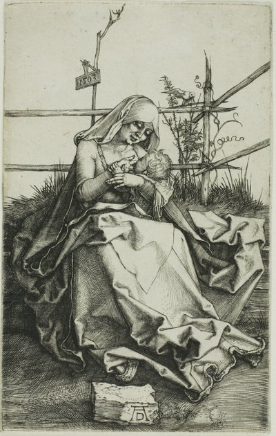 Madonna çimenli bir bankada by Albrecht Dürer