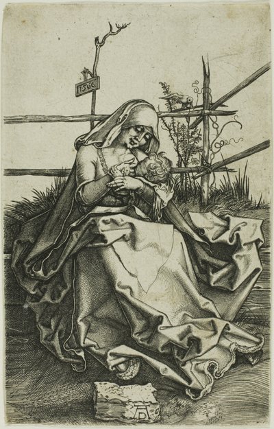 Madonna çimenli bir bankada by Albrecht Dürer