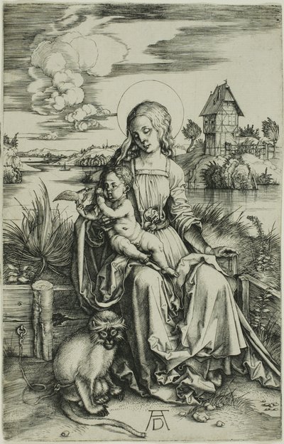 Maymun ile Madonna by Albrecht Dürer