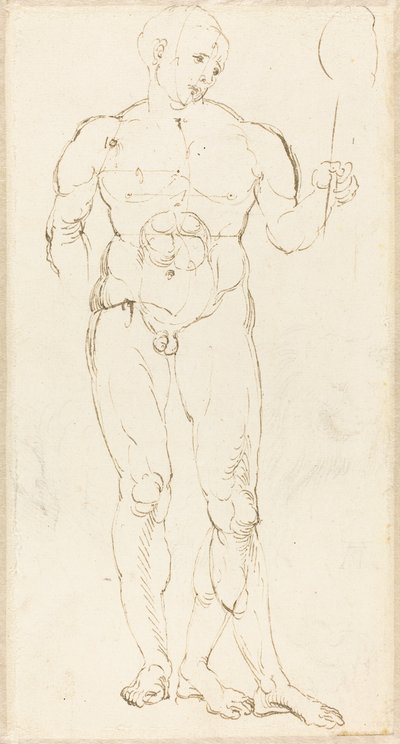 Bir Ayna Tutan Çıplak Erkek [rekto] by Albrecht Dürer