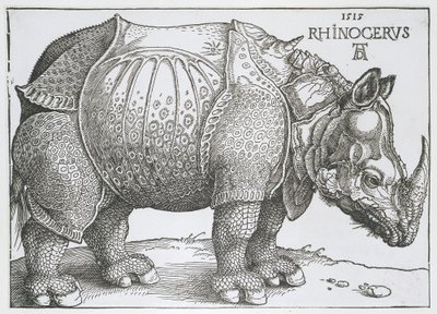 Gergedan Gergedan (nesne üzerindeki başlık) by Albrecht Dürer