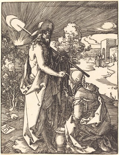 Noli Me Mandalina by Albrecht Dürer