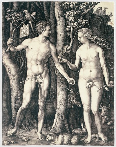Doğuştan gelen günah by Albrecht Dürer