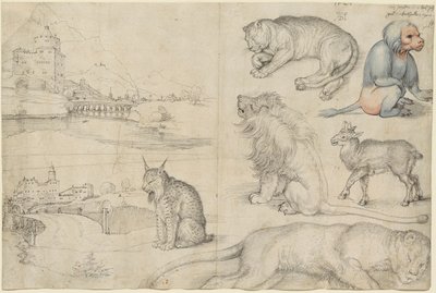Hayvanlar ve Manzara Eskizleri, 1521. by Albrecht Dürer