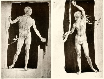 Adem ve Havva ile ilgili çalışmalar by Albrecht Dürer