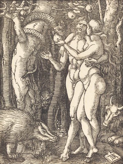 İnsanın Düşüşü, muhtemelen c. 15091510. by Albrecht Dürer