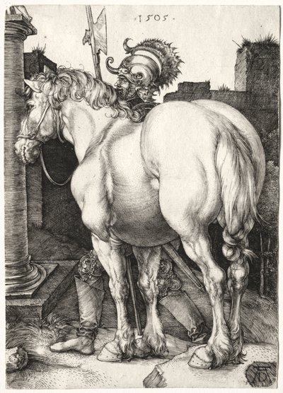 Büyük At by Albrecht Dürer