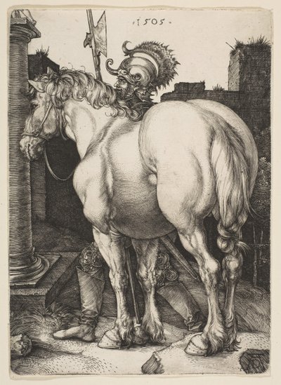Büyük At, 1505. by Albrecht Dürer