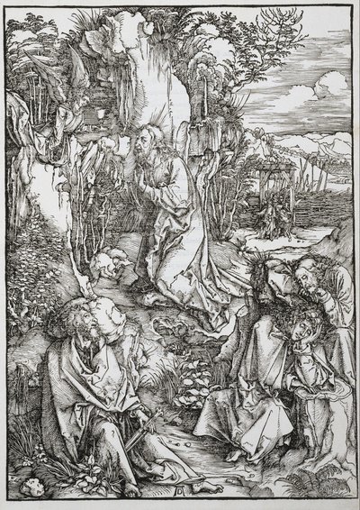  by Albrecht Dürer