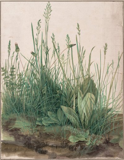 Büyük Çim Parçası, 1503 by Albrecht Dürer
