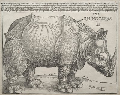 Gergedan, 1515. by Albrecht Dürer