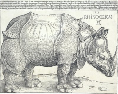 Gergedan, 1515., 1515. by Albrecht Dürer