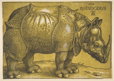 Gergedan, 1620