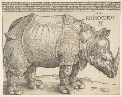Gergedan.n.d. by Albrecht Dürer