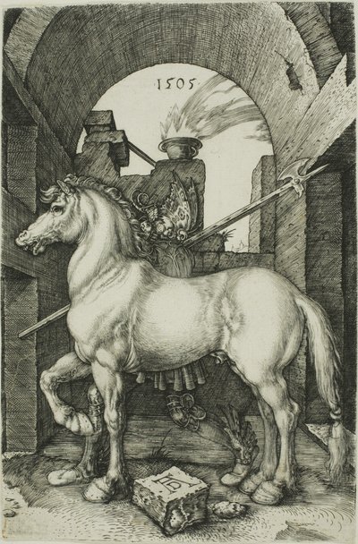 Küçük At by Albrecht Dürer
