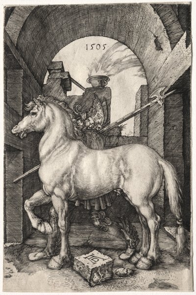 Küçük At by Albrecht Dürer