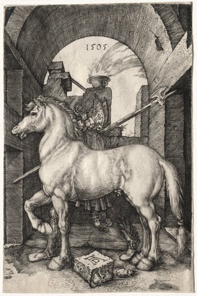 Küçük At, 1505. by Albrecht Dürer