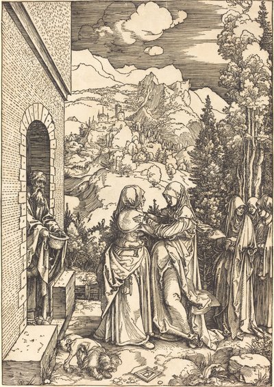 Ziyaret by Albrecht Dürer