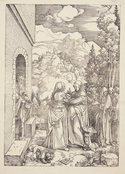 Ziyaret by Albrecht Dürer