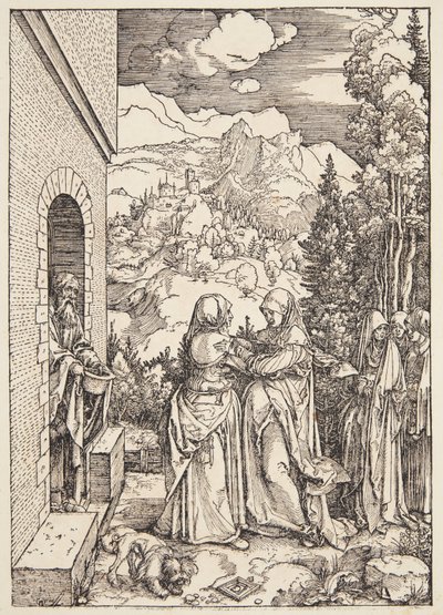 Ziyaret by Albrecht Dürer