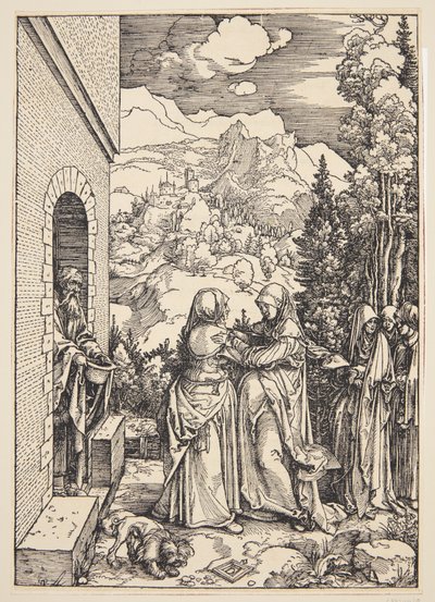 Ziyaret by Albrecht Dürer