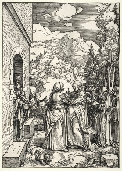 Ziyaret by Albrecht Dürer