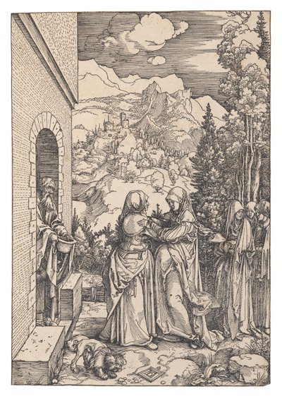 Ziyaret, 1503. by Albrecht Dürer